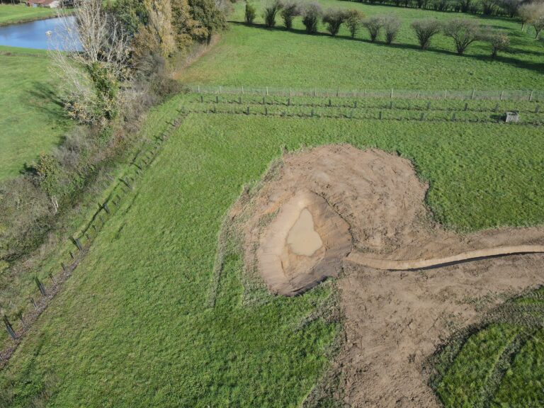 Les mares de biodiversité