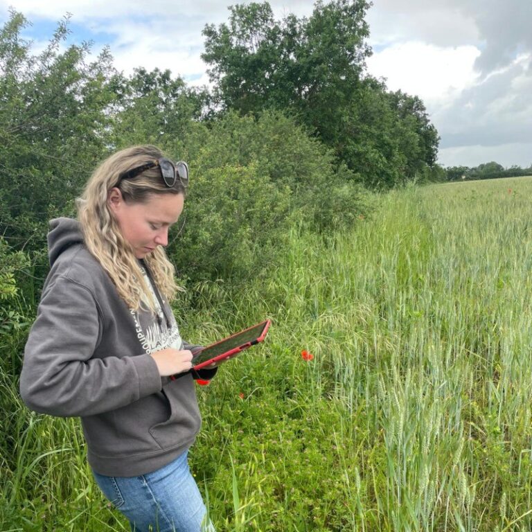 Pauline Veillon – chargée de mission agriculture et biodiversité