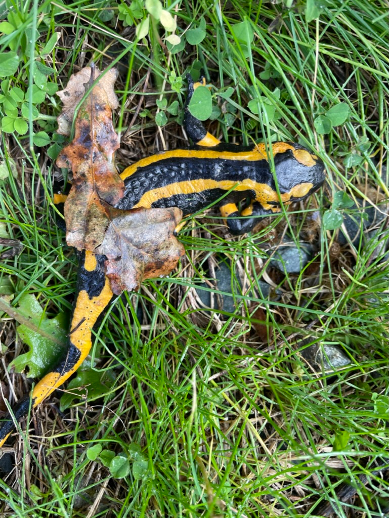 Rencontre sur le Domaine du Haut Sablon